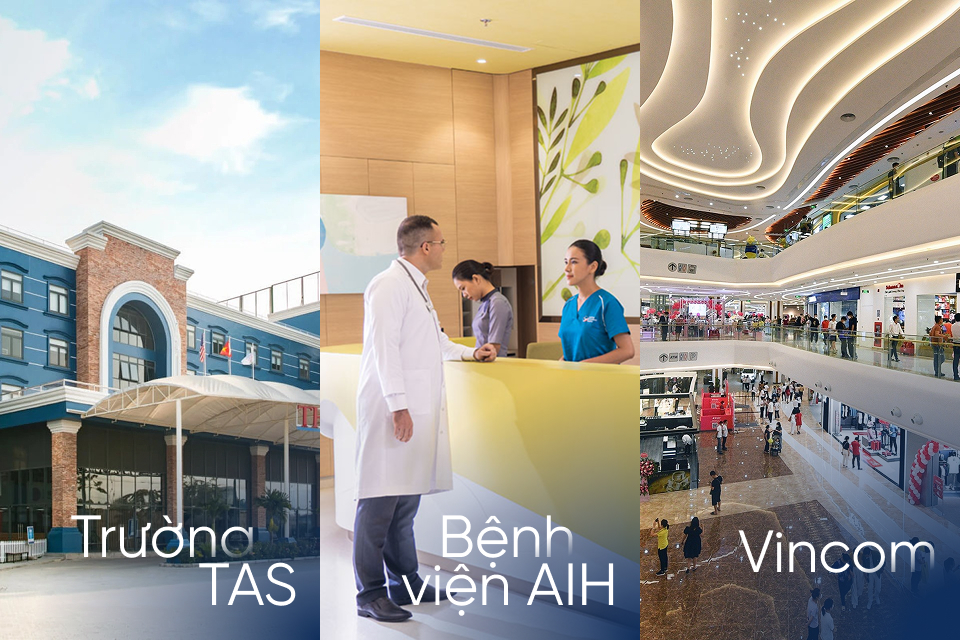 Giáo dục, bệnh viện và khu mua sắm trong bán kính 2km